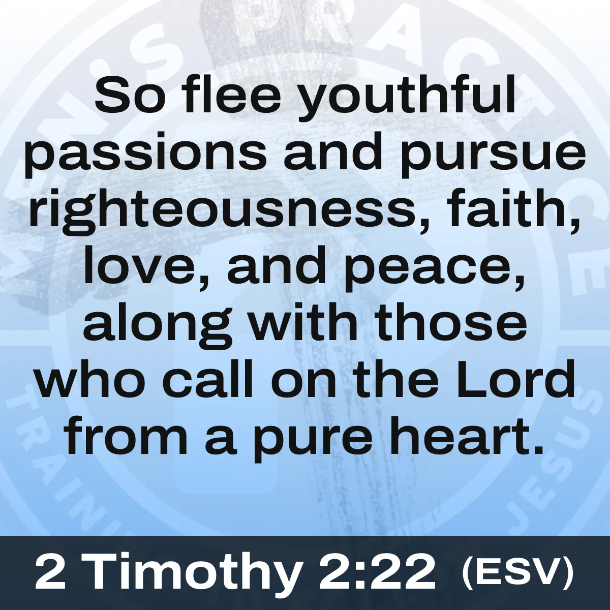 2 Timothy 2:22 ESV 2 Timothy 2:22 ESV